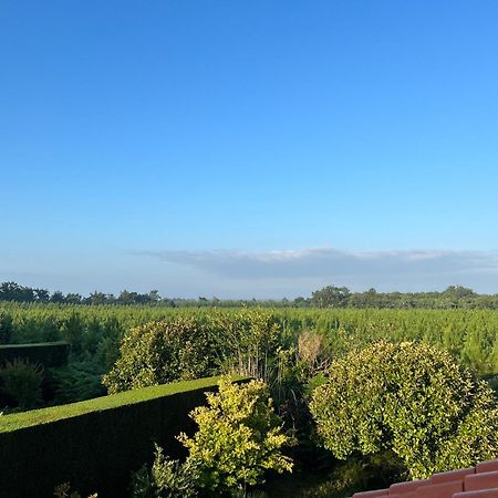 Jolie Maison De Vacances Avec Terrasse Et Jardin Saint-Julien-en-Born Ngoại thất bức ảnh