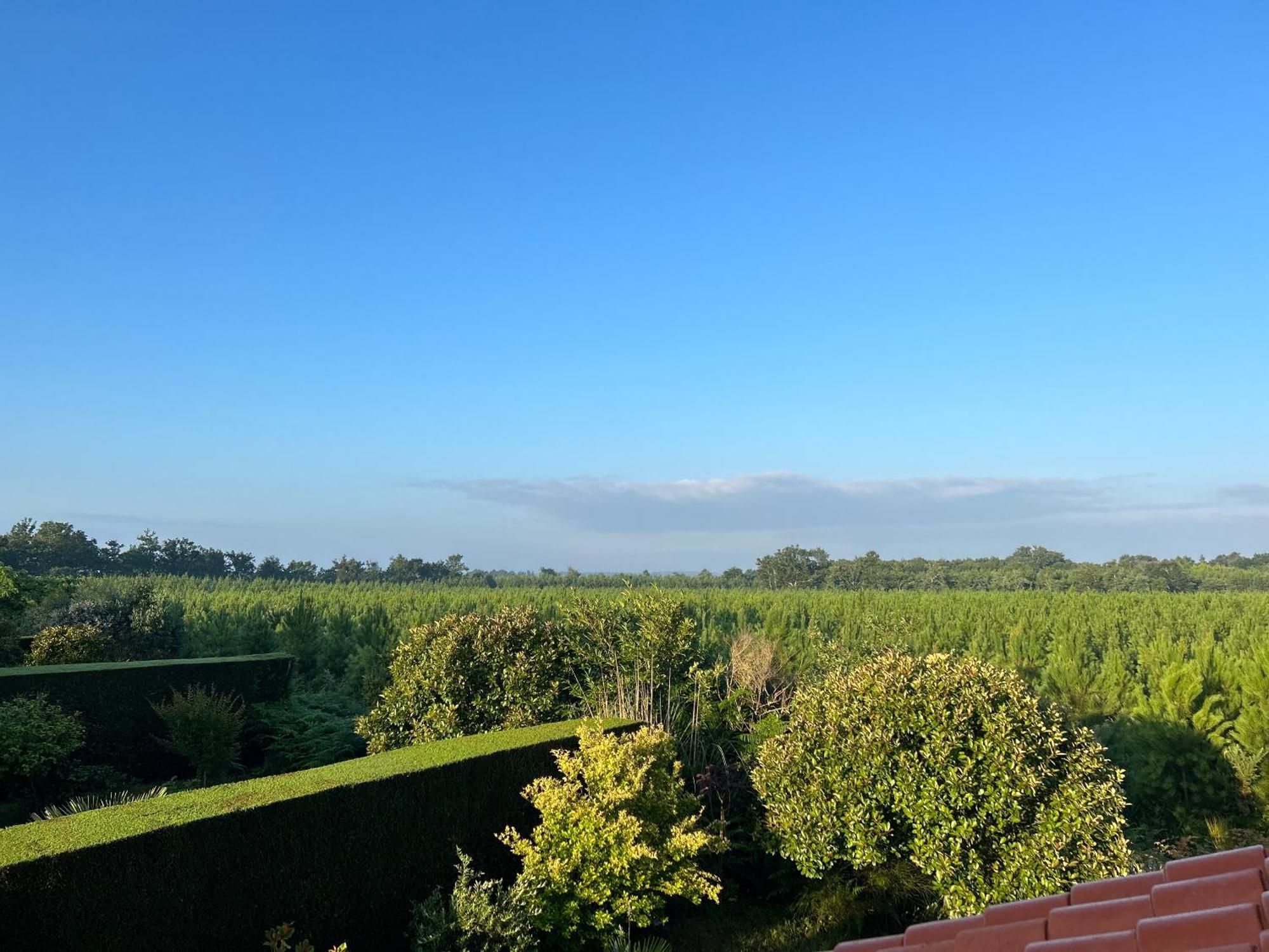 Jolie Maison De Vacances Avec Terrasse Et Jardin Saint-Julien-en-Born Ngoại thất bức ảnh
